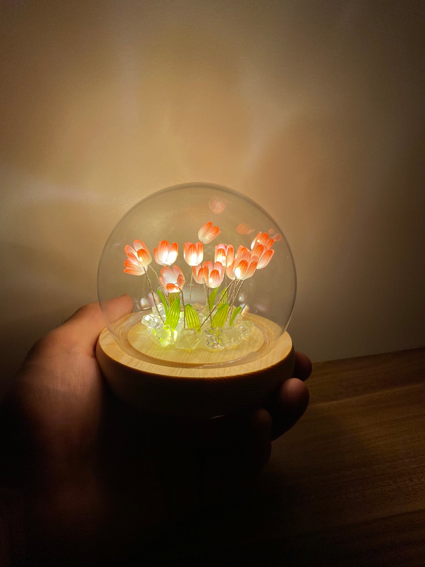 İşıqlı tülpan kürə